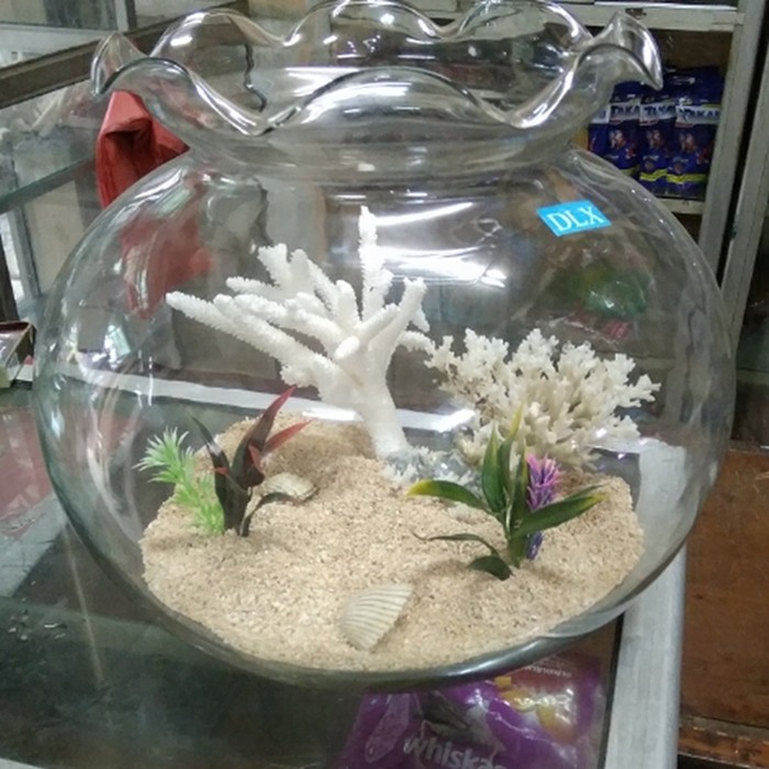 Aquarium Bulat 12L SHELLA 12 Liter Fish Bowl Toples Ikan Undian