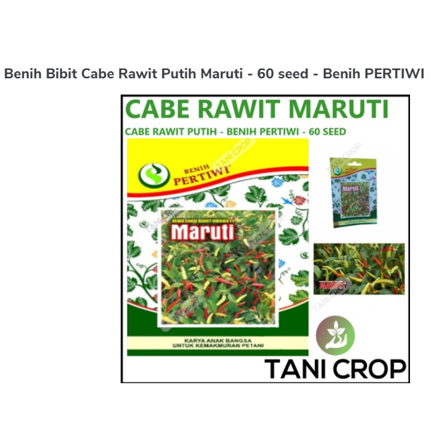 Benih Bibit Cabe Rawit Putih Maruti - 60 seed - Benih PERTIWI