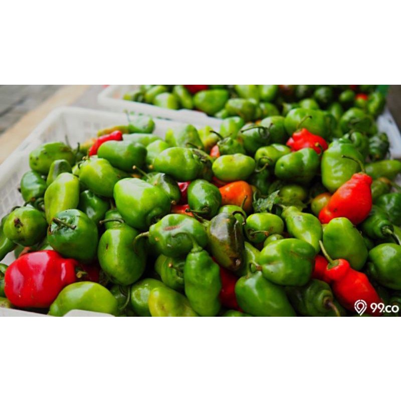 

MURAH MERIAH Cabe gendot 100 gram