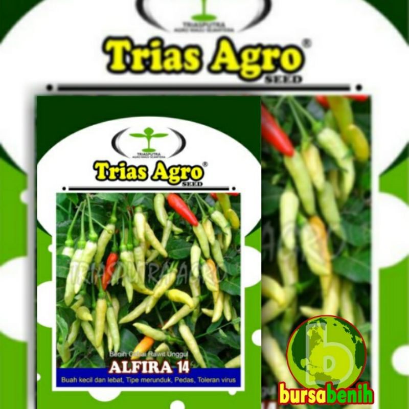 Isi 5 Gram Benih Cabe Rawit Putih ALFIRA 14 || Bibit Cabai Rawit