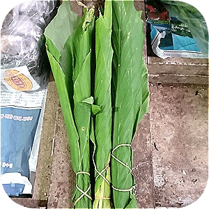 

Daun Kunyit 1 ikat