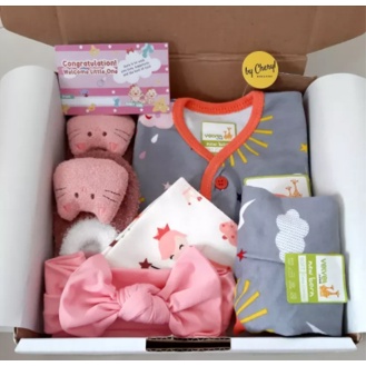 HAMPERS A BAYI NEWBORN / KADO BAYI / BAJU BAYI / VELVET JUNIOR