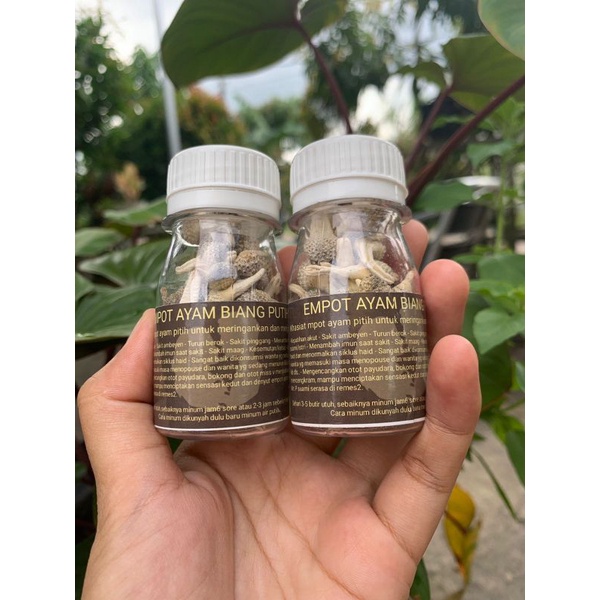 JAMU MPOT AYAM BIANG ASLI MADURA