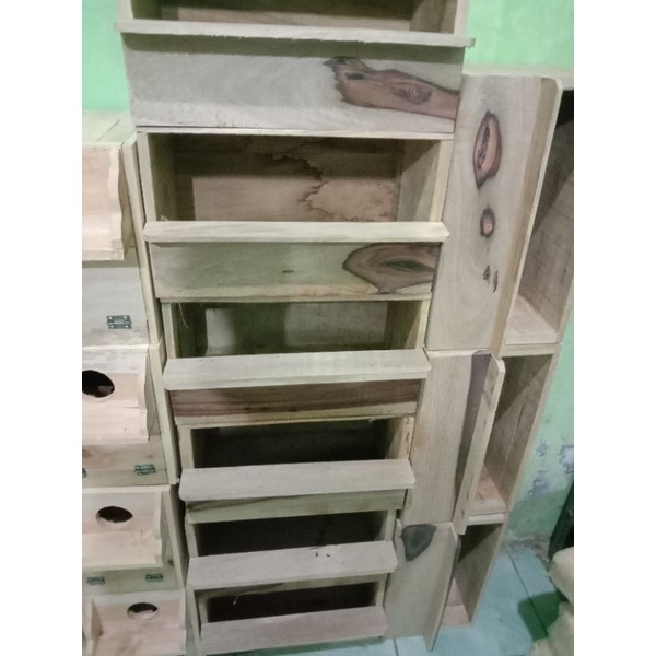 Glodok Murai Glodok jalak