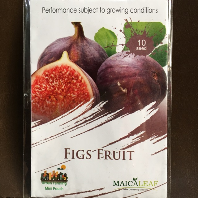

Bibit buah Tin (buah surga)FIGS FRUIT merk MAICA LEAF isi 10 butir