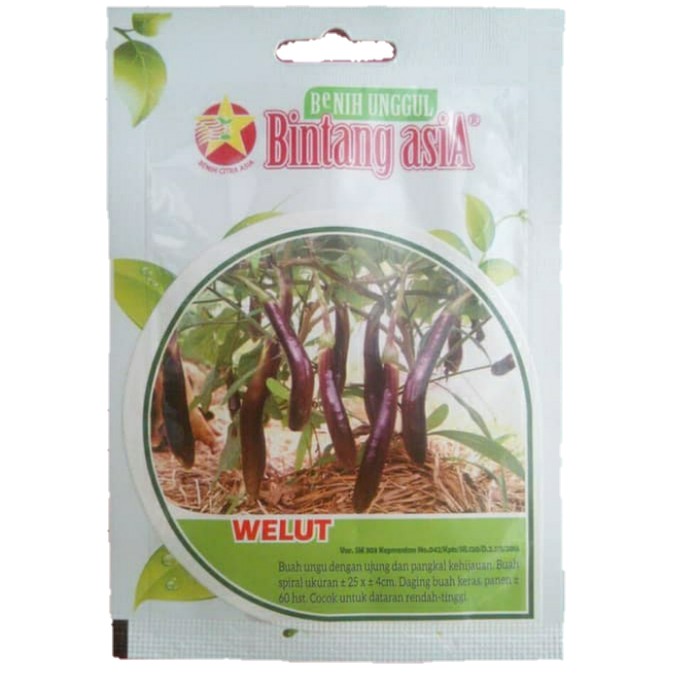 Promo Bintang Asia Benih Terong Ungu Welut Personal Pouch terbaik