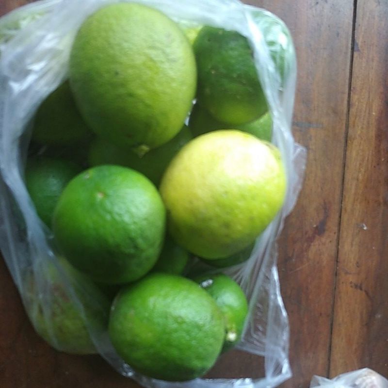 

Jeruk nipis segar Lat Citrus