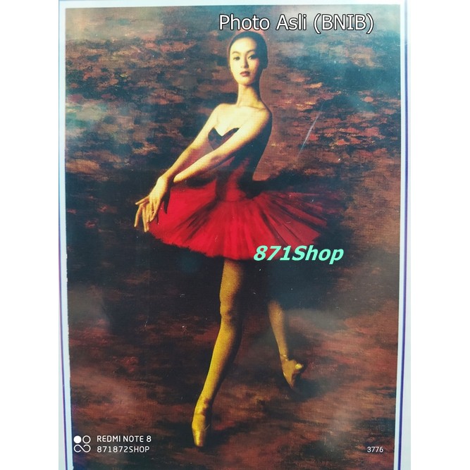 DIY DIAMOND PAINTING DIAMOND PAINTING DRILL RED BALLERINA (5D)