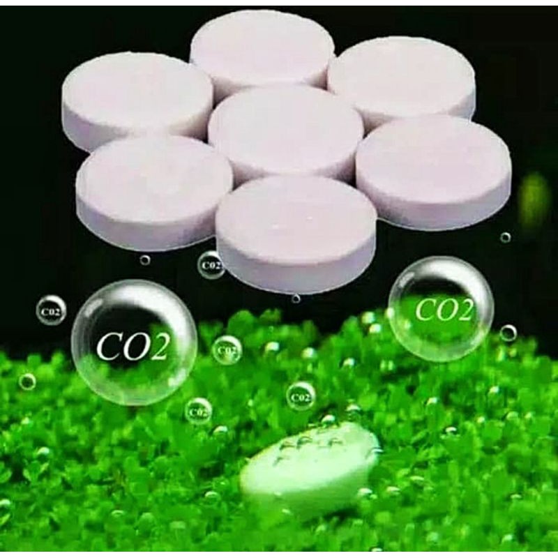 ECERAN TABLET CO 2 + PUPUK AQUASCAPE TANAMAN AIR