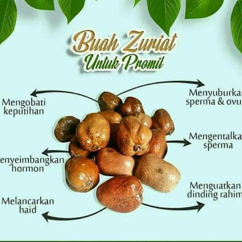 

BUAH ZURIYAT KEMASAN 250 GR