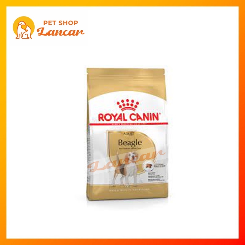 Royal Canin Beagle Adult Makanan Anjing Dewasa Dry 3kg