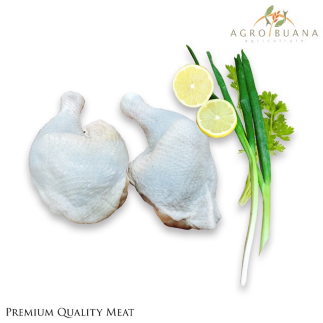 

Paha Ayam Utuh | Whole Paha Ayam