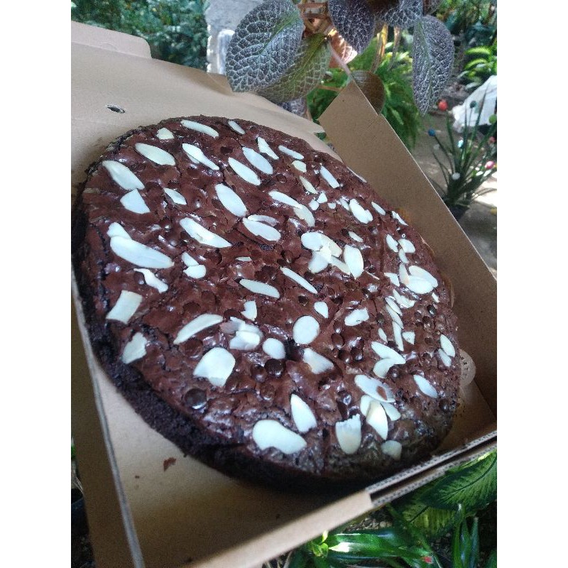 

brownies fudgy