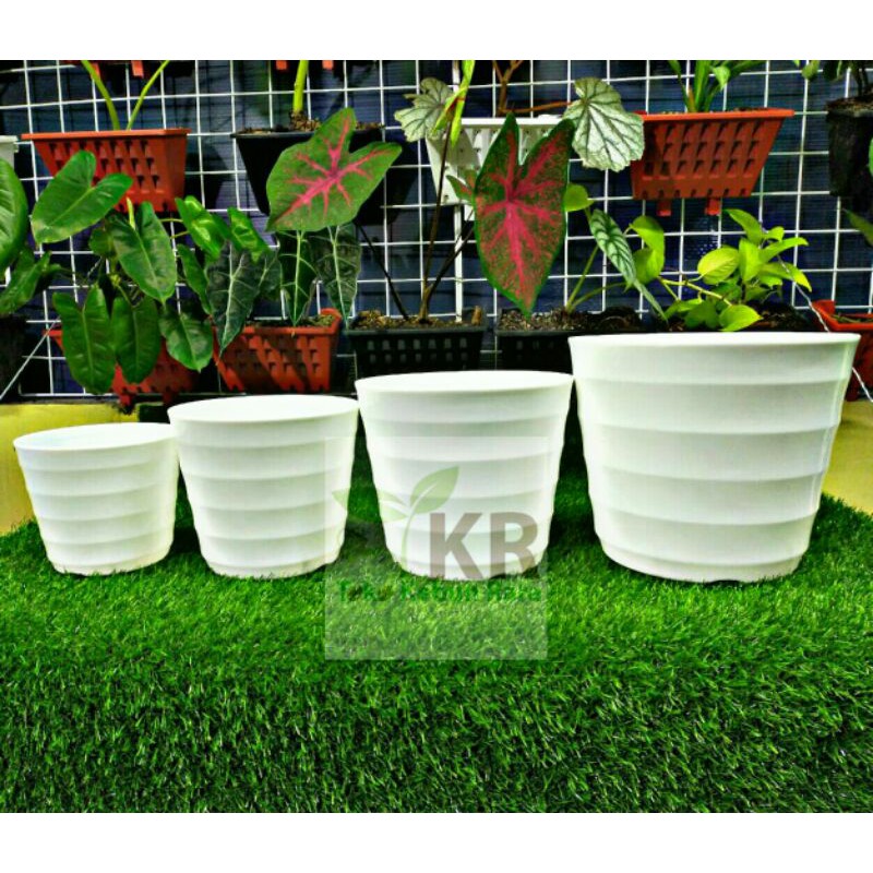 Pot Bunga Tanaman Mado 32