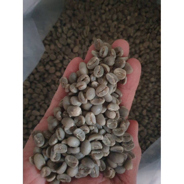 

1 Kg Biji Kopi Green Bean Arabika Gayo Arabica Coffee