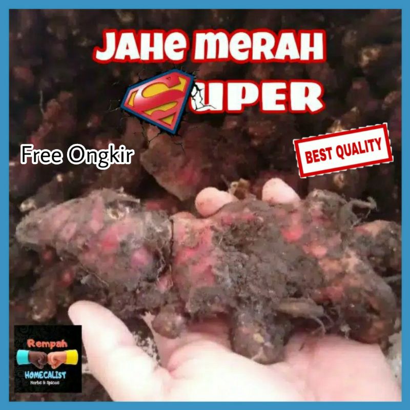 

JAHE MERAH SUPER 1/2KG JAHE MERAH MEDAN