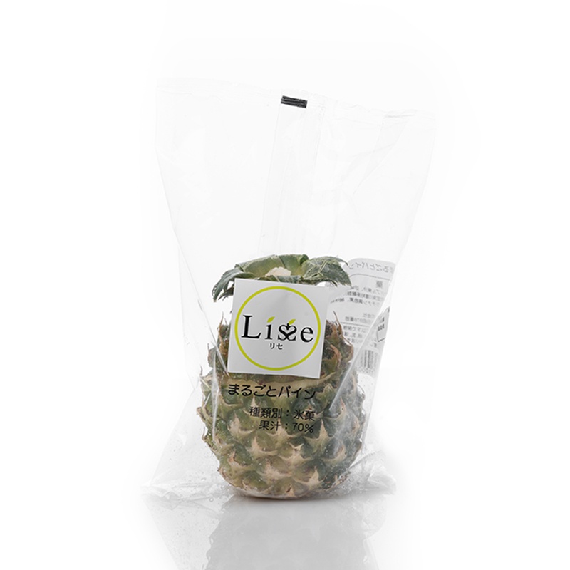 

FISHOP - Ice Cream Rise Marugoto Pineapple (Whole) (100 gr)