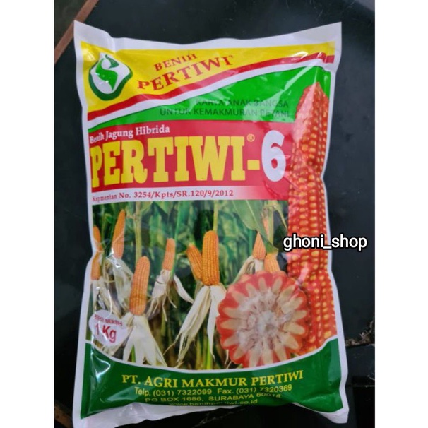 benih jagung pertiwi 6