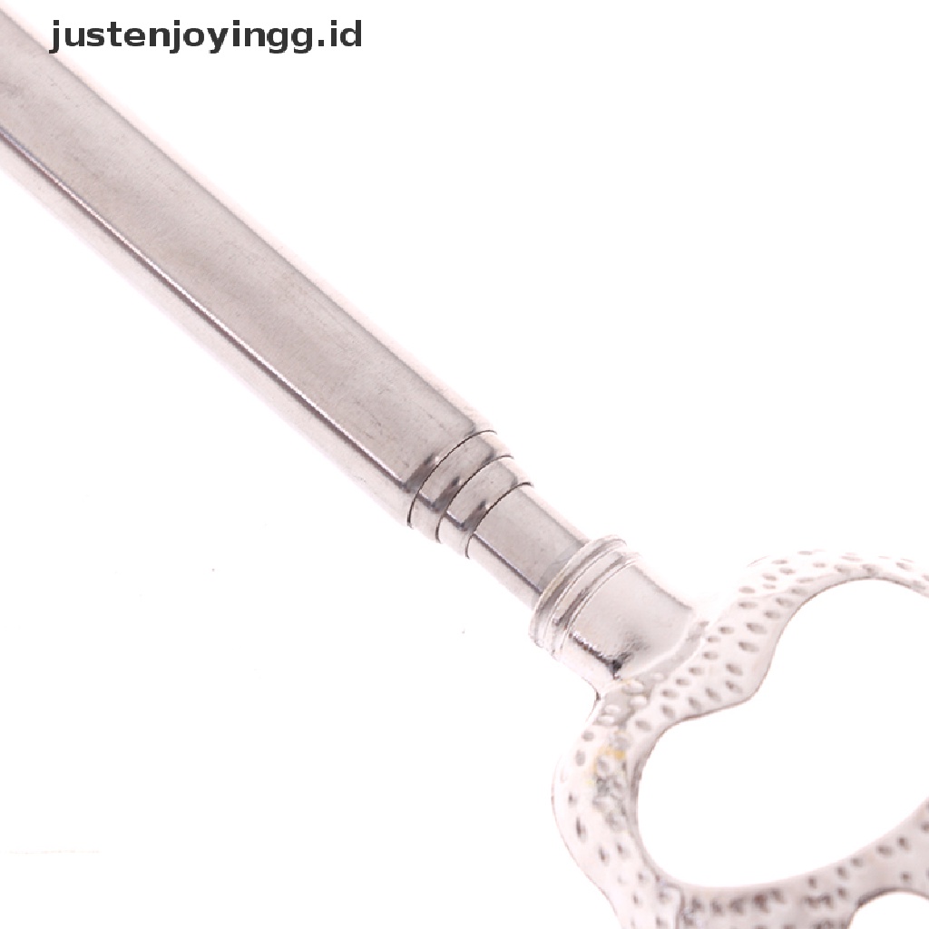 Alat Penggaruk Punggung Bentuk Cakar Beruang Teleskopik Dapat Diperpanjang