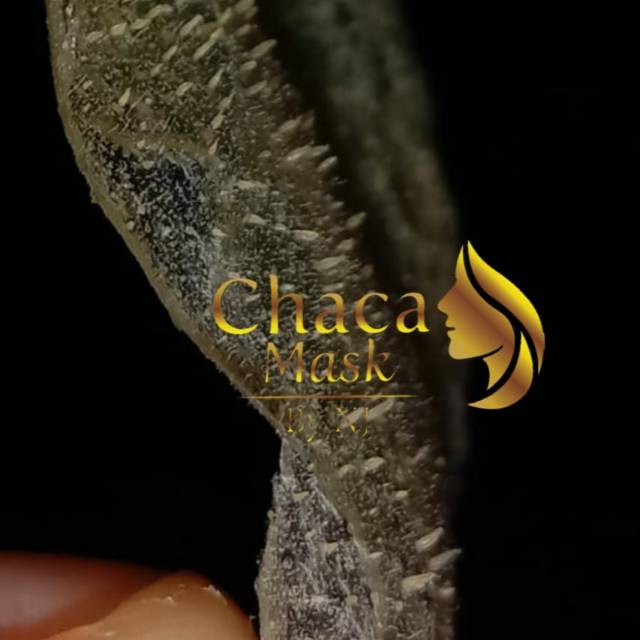CHACA MASK MASKER KOMEDO MASKER TERJANGKAU MASKER AMAN MASKER MASKER BEST SELLER