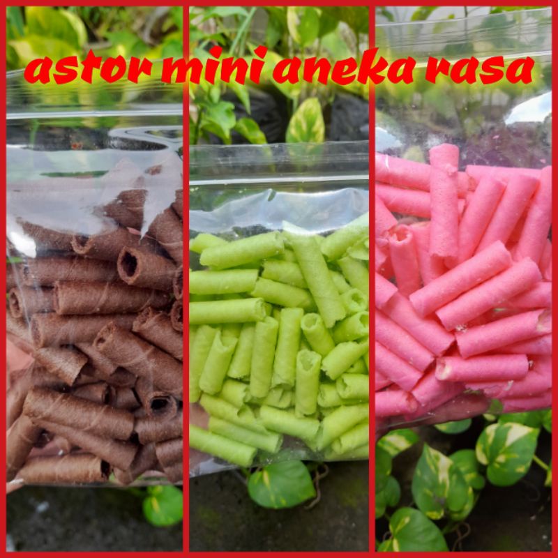 

(A2Snack)astor mini/astoranekarasa