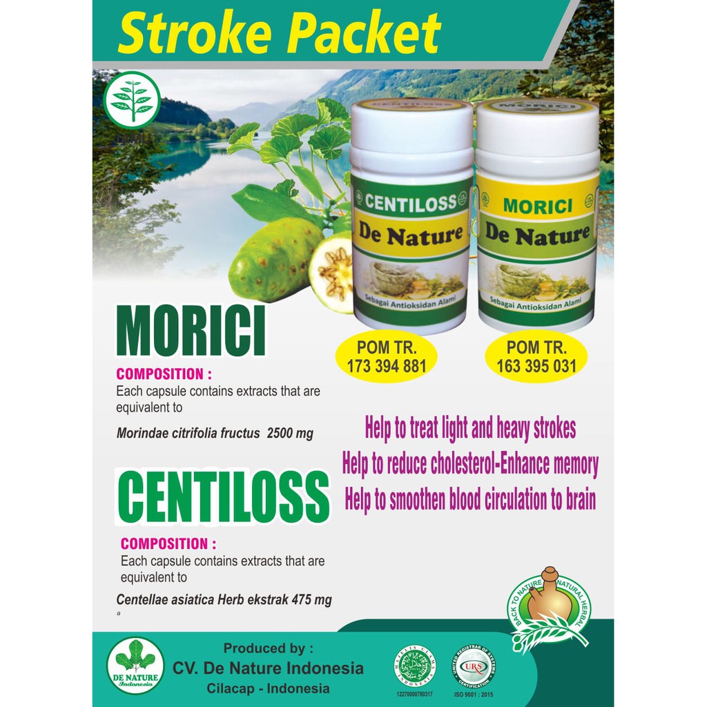 Obat Stroke | Obat Stroke Ringan | Obat Stroke Berat