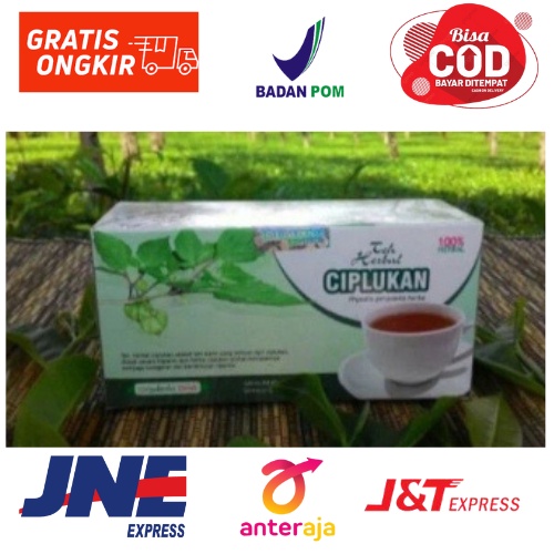 

RADANG TENGGOROKAN DAN BATUK teh ceplukan isi 20 kantong celup kaya akan manfaat ORIGINAL