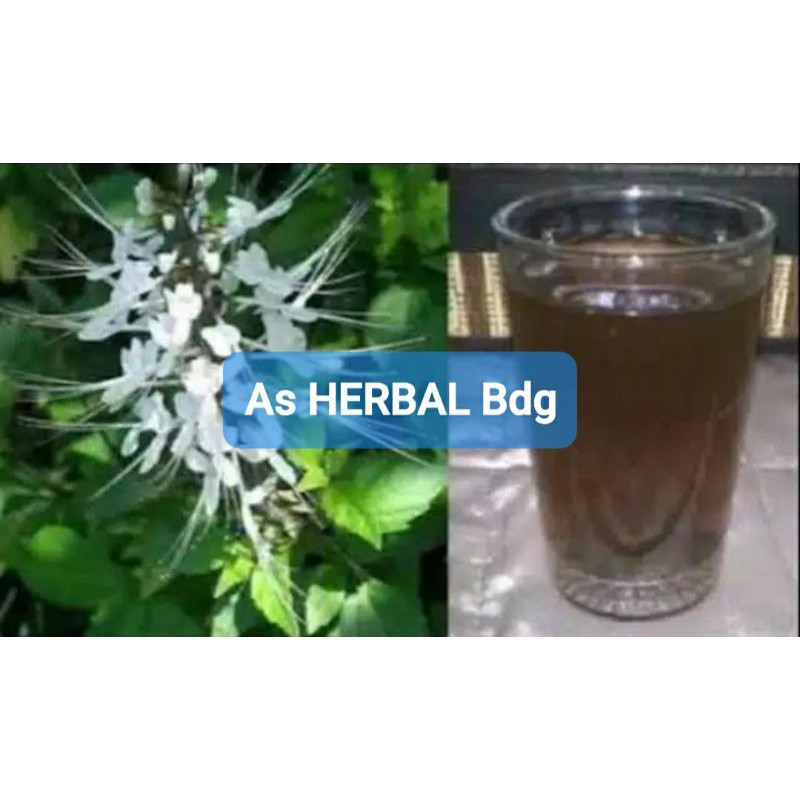 

Rebusan Daun Kumis Kucing kemasan 350 ml-az