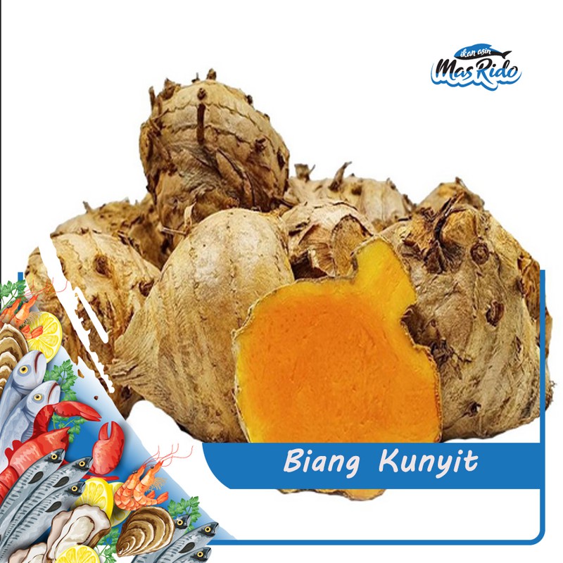 

Biang Kunyit Asli Segar Fresh Kunir Kwalitas Premium Harga Murah