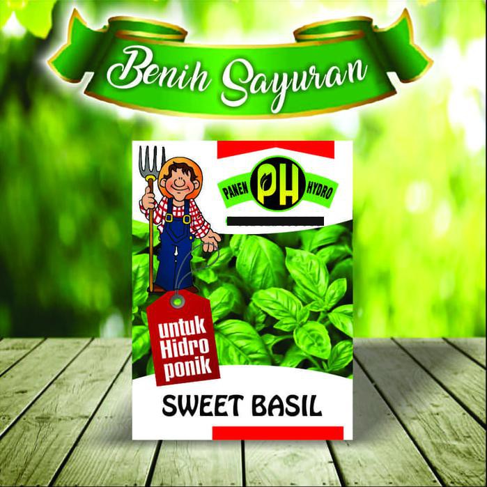 benih sawi putih import isi +50 repacking