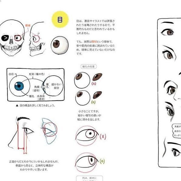 Drawing / Illustration Tutorial Book By Park Reno
