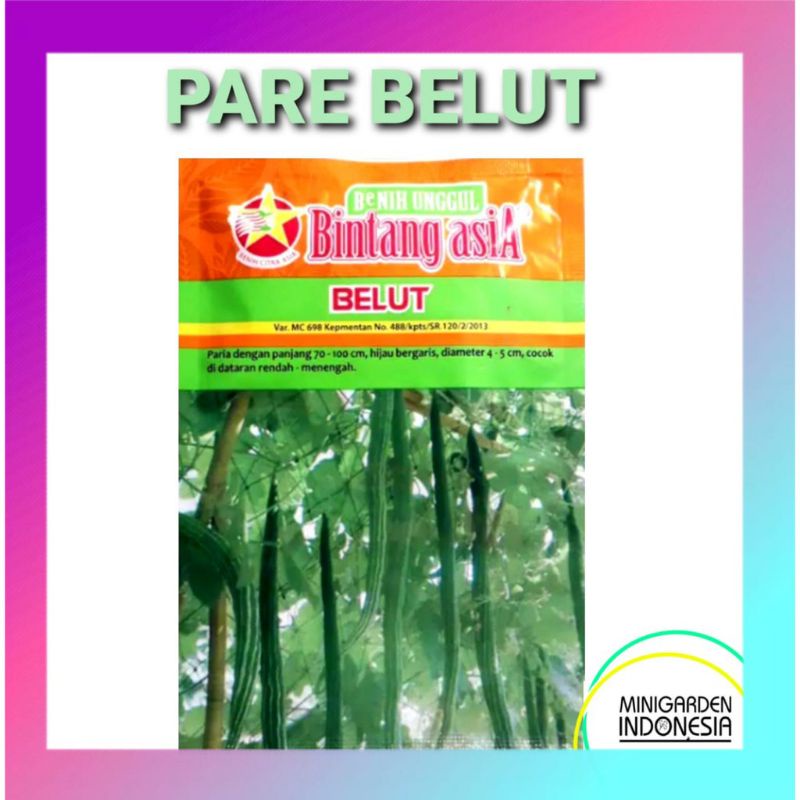 Pare Belut