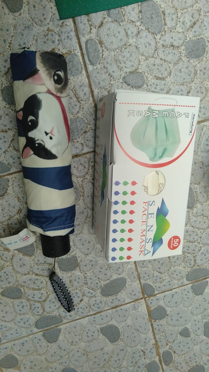 Payung Lipet3 Motif Cat Nf-392