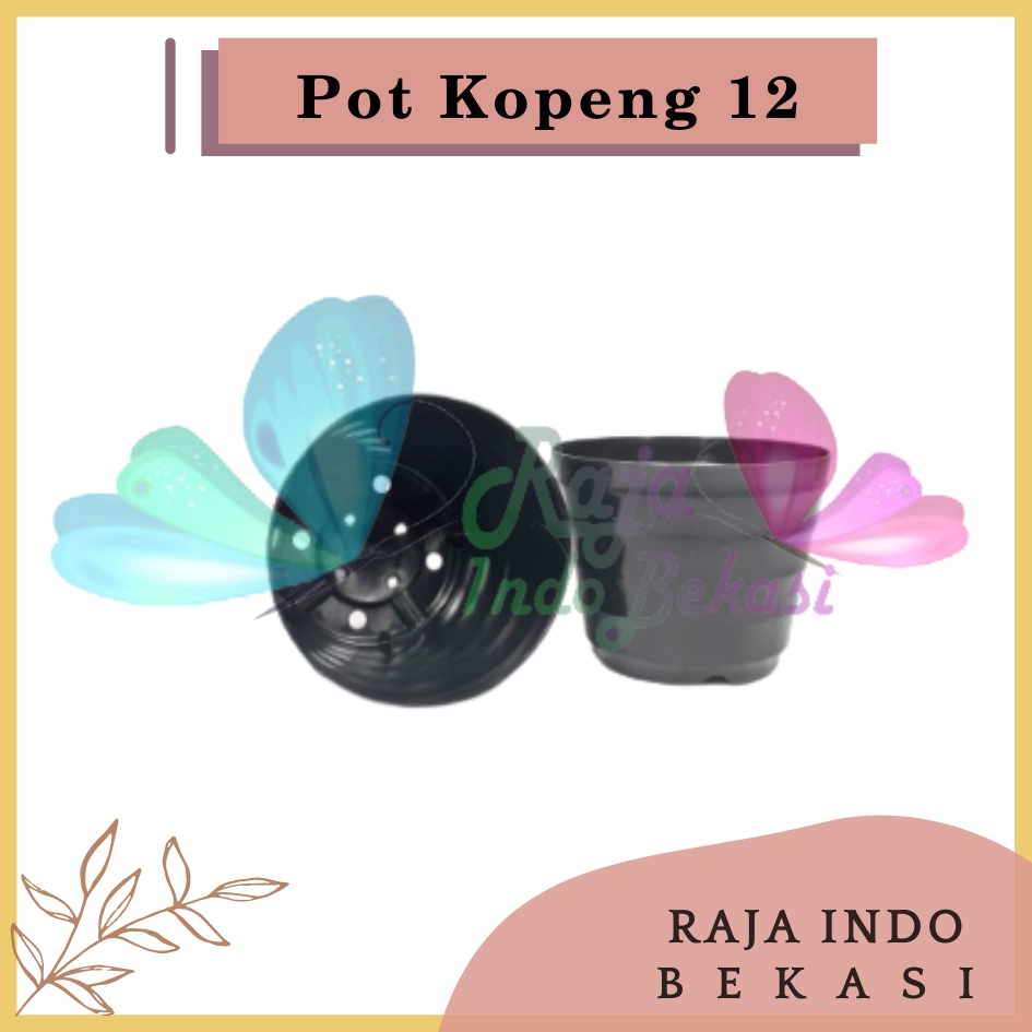 Pot Kopeng 12 Hitam Hitam By Garden Of Love Pot Plastik Mini Kaktus Murah Lucu Mirip Pot Tawon 12