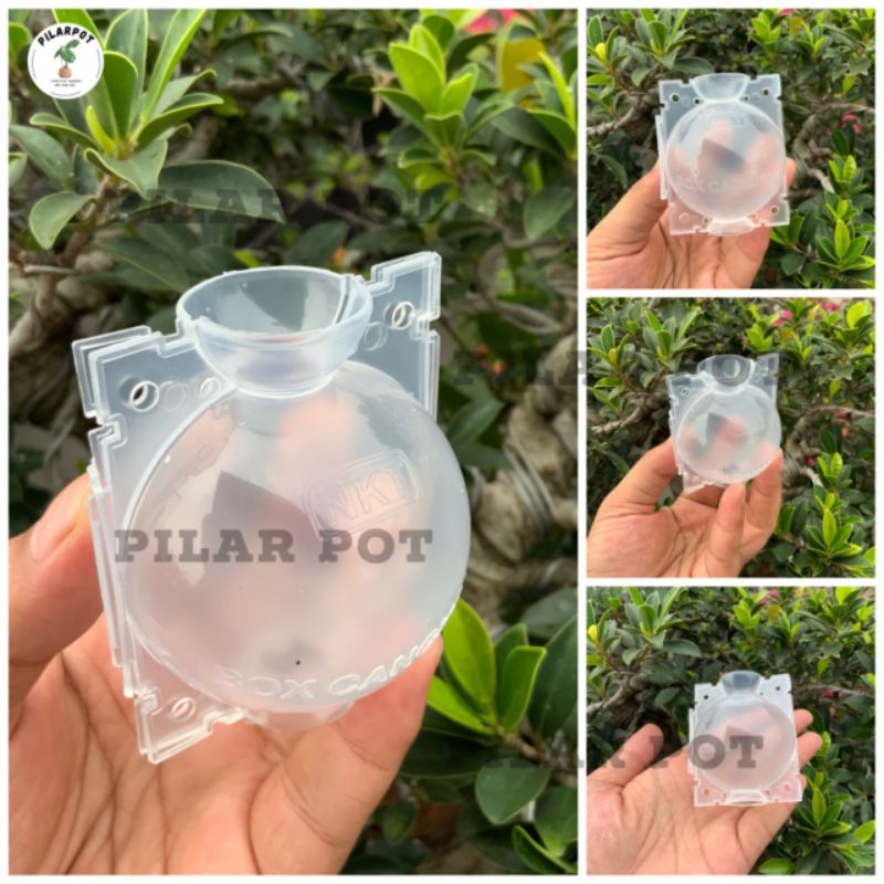 Tempat pot wadah nkt box media cangkok 5 cm - PACK ISI 5 PCS MINI