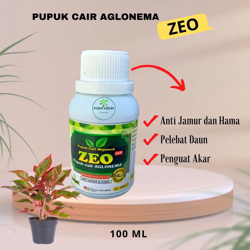 PUPUK AGLONEMA - NUTRISI TANAMAN HIAS - PUPUK CAIR MAJEMUK ZEO AGLONEMA- PUPUK BUNGA
