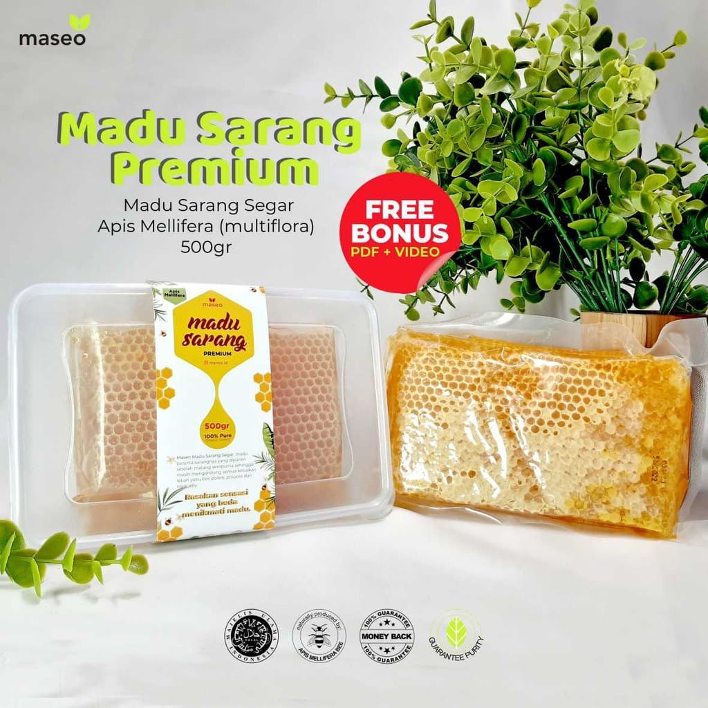 

Maseo Madu Sarang Mellifera 500gr Melifera Premium / Cerana Premium / Madu Asli Murni Garansi-SS