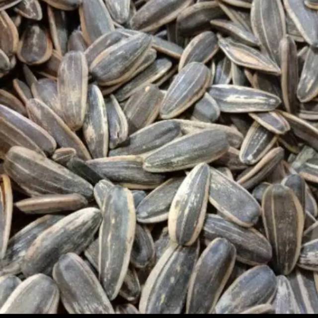 

KWACI MATAHARI 250g