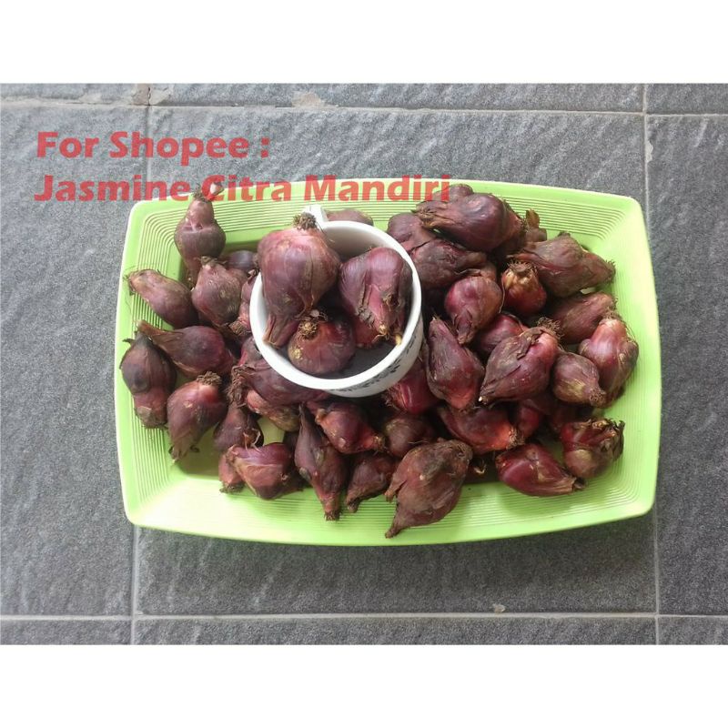 

Bawang Dayak Sabrang Jumbo 1kg