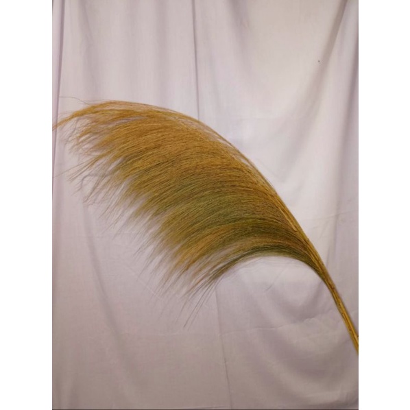 PAMPAS COKLAT, PAMPAS BULU, DEKORASI RUSTIK, BUNGA KERING