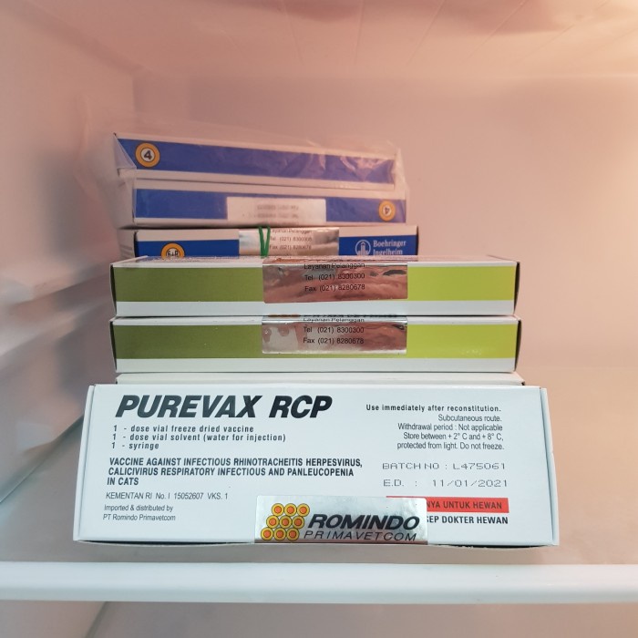 Produk Terbaru - Vaksin Kucing Dewasa Dan Anak Purevax Rcp