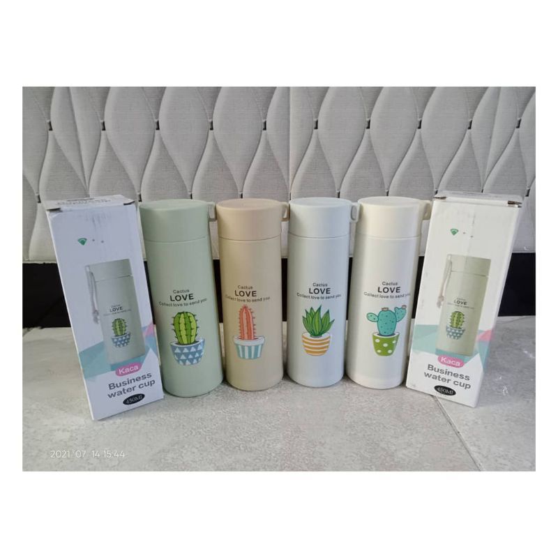 souvenir botol kaktus box