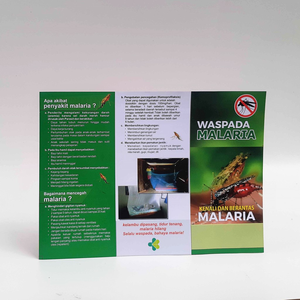 Leaflet Brosur Malaria Leaflet Edukasi Malaria Shopee Indonesia