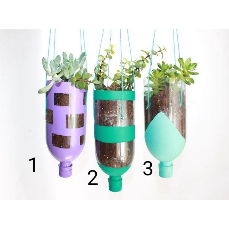 Vas/pot bunga unik dari botol bekas