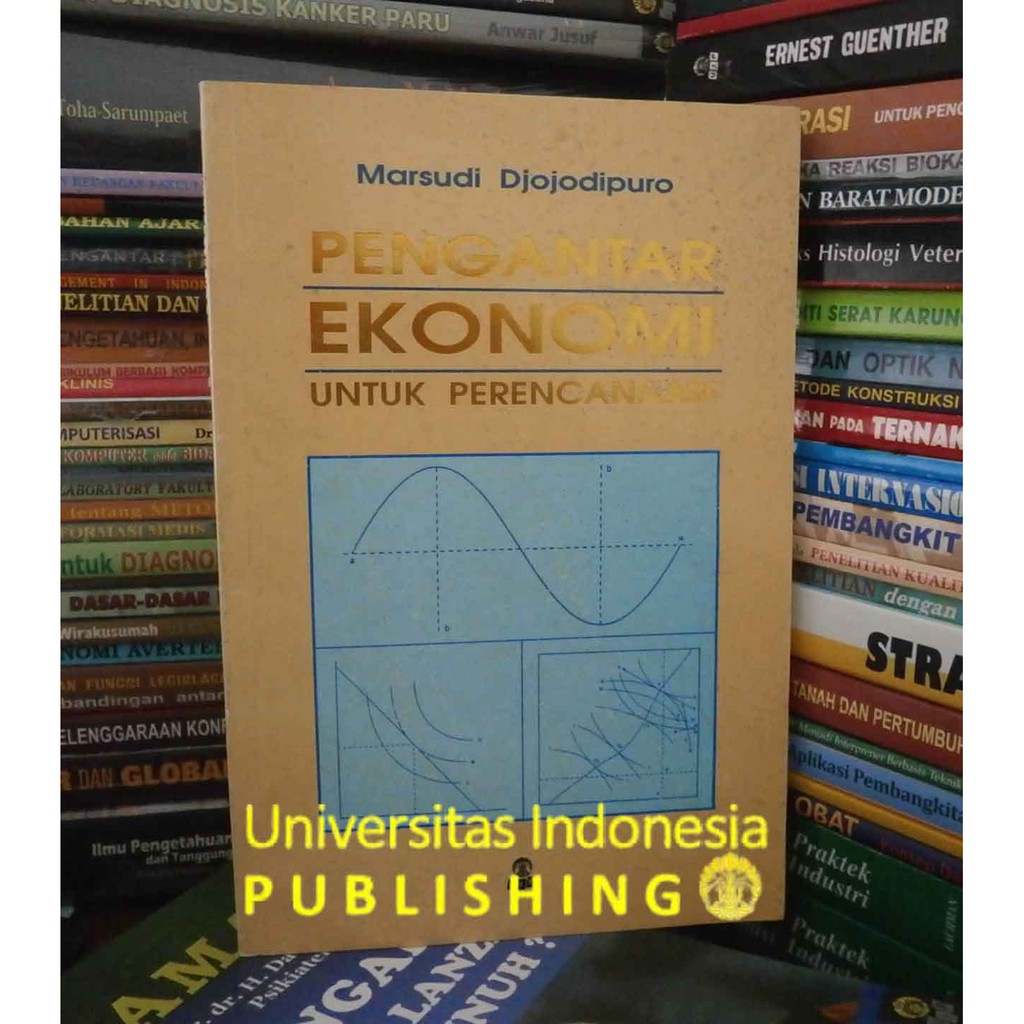 Pengantar Ekonomi Untuk Perencanaan