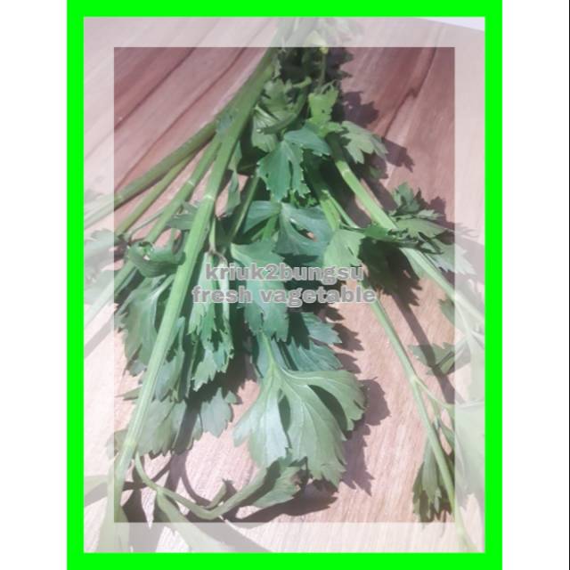 

Daun seledry / sayur segar