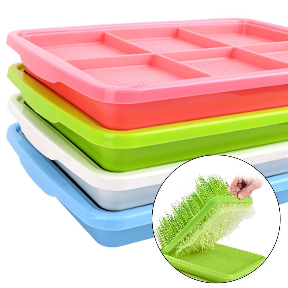 【 ELEGANT 】 Tray Semai Double Layer Tauge Pot Pembibitan Rumah