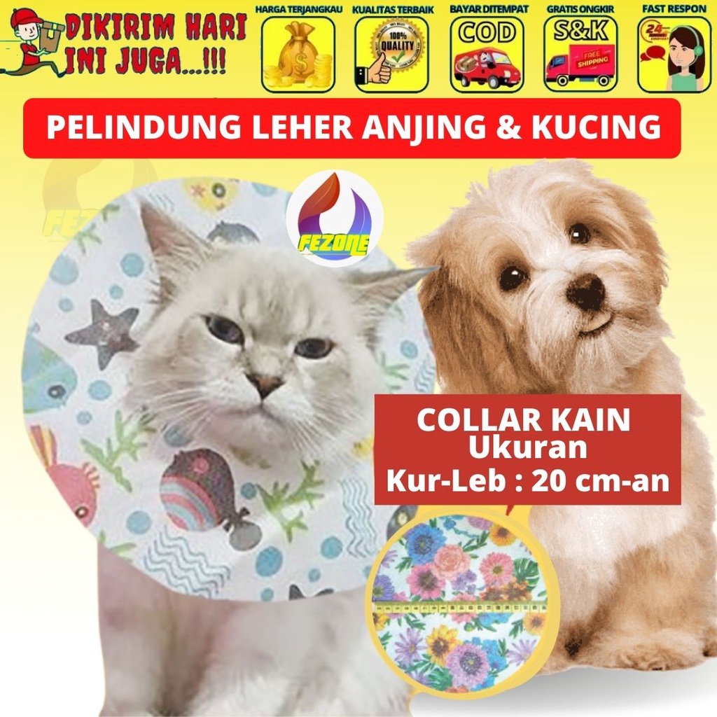 Jual collar Harga Terbaik - November 2021  Shopee Indonesia