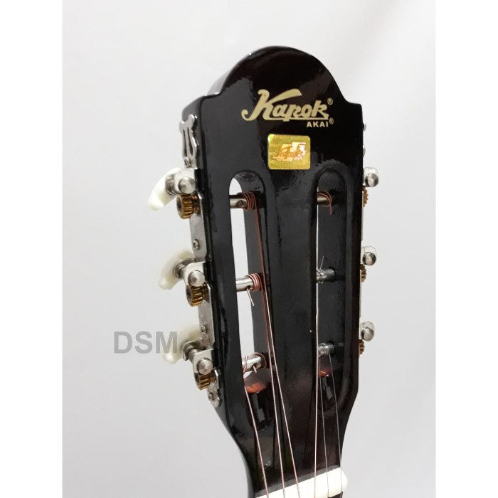 TERLARIS Gitar Akustik Kapok MG 010 ORI