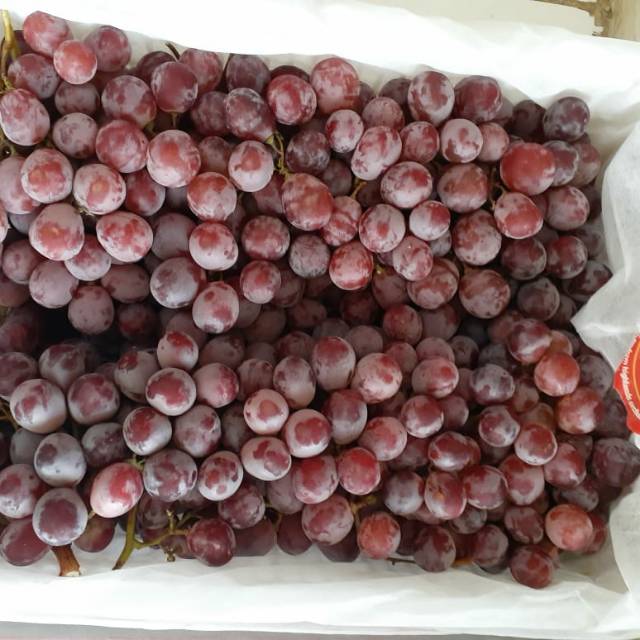 

Anggur merah china murah